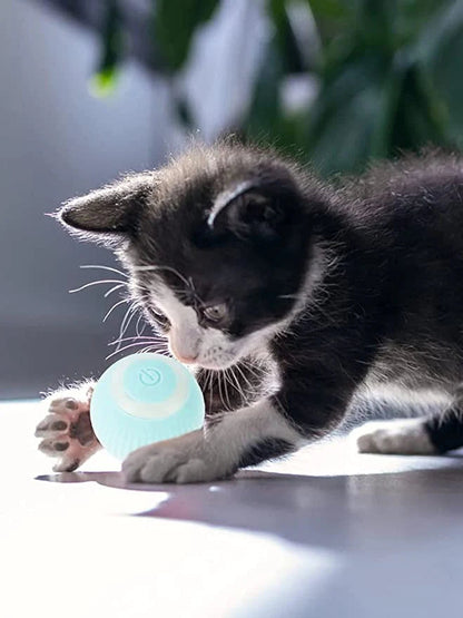 Smart Cat Ball™ | De beste speelbal voor uw kat!