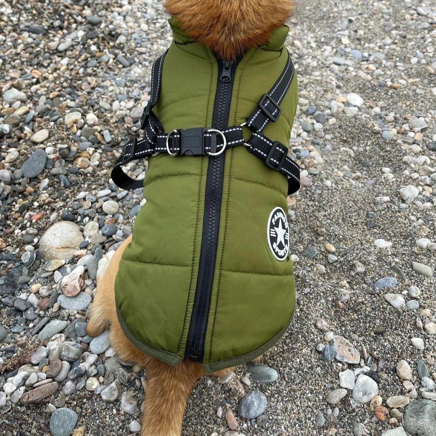 Puppy Puffer-Geïsoleerde Jas voor alle honden