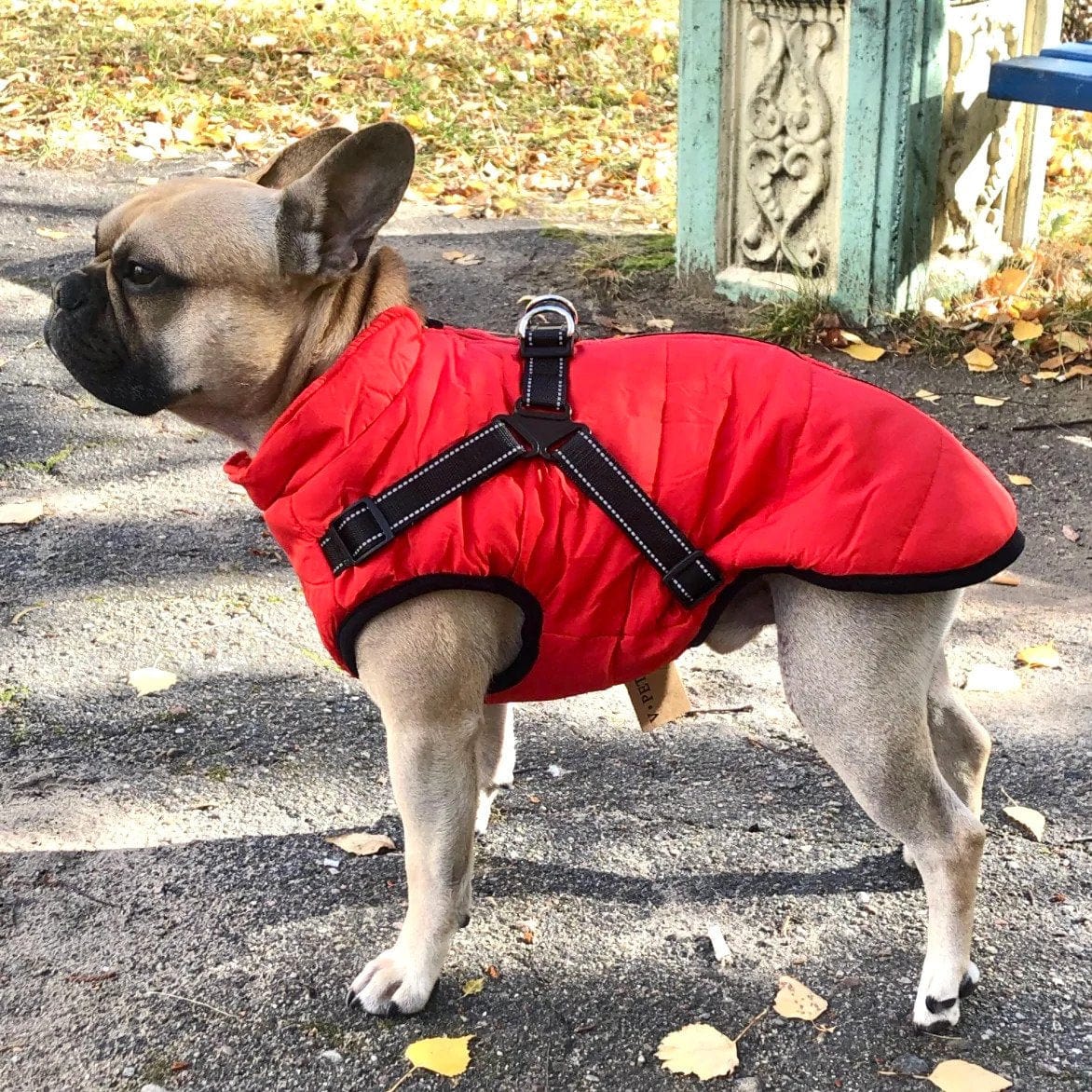 Puppy Puffer-Geïsoleerde Jas voor alle honden